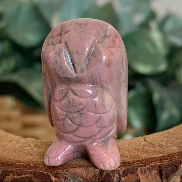 Rhodonite Carved Owl Figurine Gemstone Bird Carving Chubby Stone Animal Pet 1.5" - Picture 5 of 10